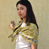 Grand foulard FAUVE Noix