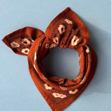 Petit foulard ANASTASE Sierra